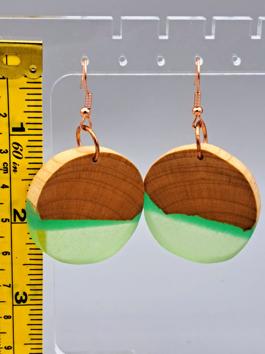 Wood & Resin Jewelry