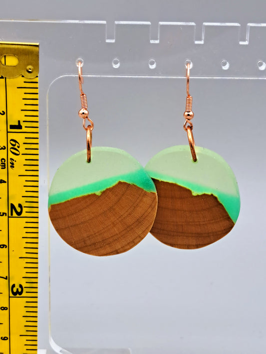 Wood & Resin Jewelry